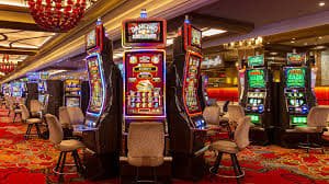 333bet15